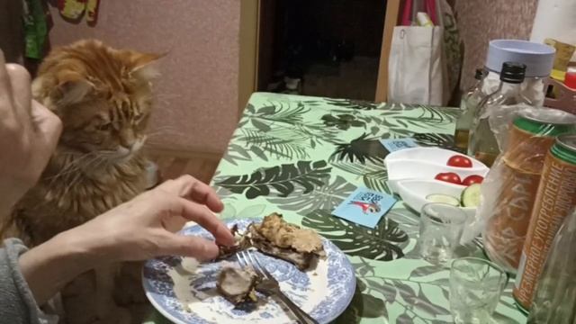 Фи это что курица? Я то думал рыба, не не буду мяу