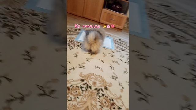 1000017960.mp4