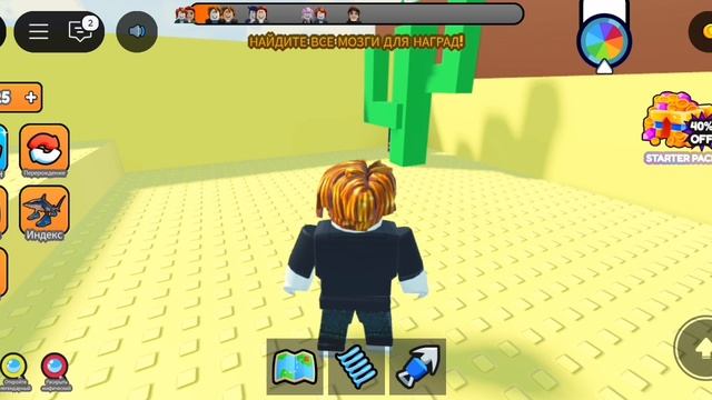 XRecorder_20250505_02(1).mp4