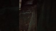 Видео по НЕ убранному, захламлённому чердаку на Свердлова, 50. 05.05.2025г.