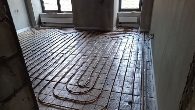 1000021551.mp4
