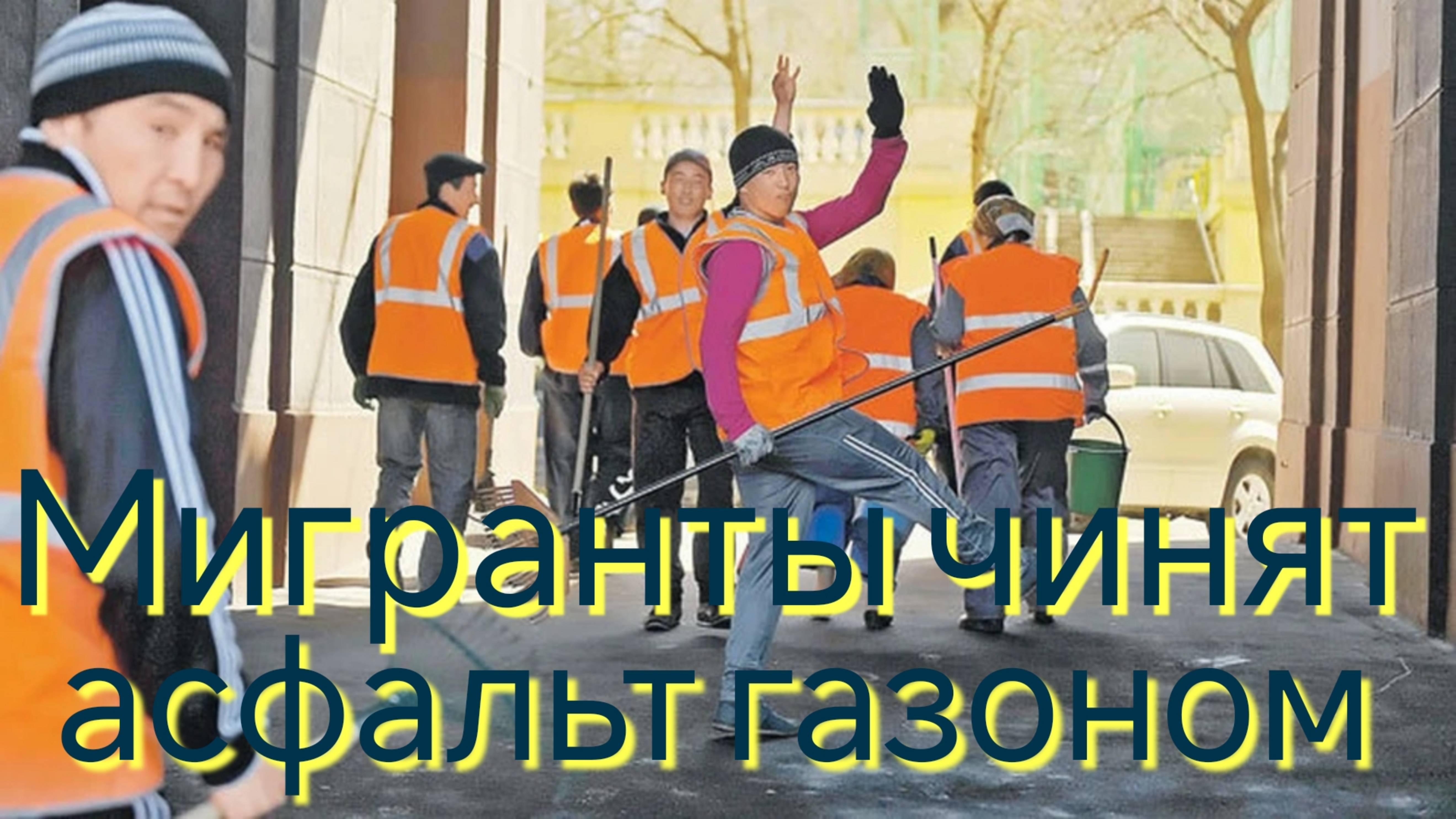 Мигранты чинят асфальт газоном