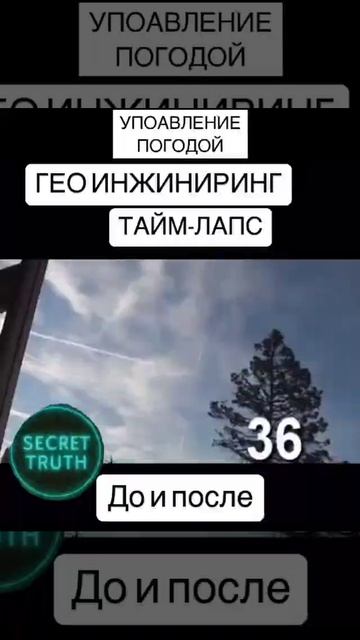 1000008791.mp4