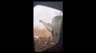 WhatsApp Video 2025-05-05 at 14.45.23