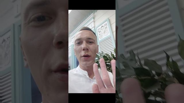 petal_20250505_184442.mp4
