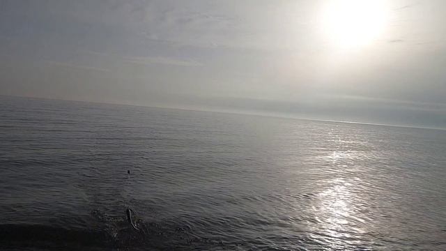 Рыбалка на рассвете