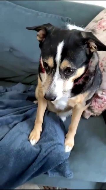 Мася и блиныYT_Shot