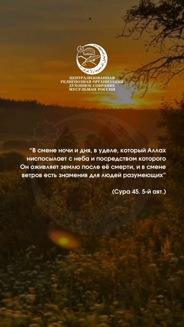 Аят #shorts
