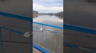 Наилә Әхмәтгәрәева - Йүрүҙән