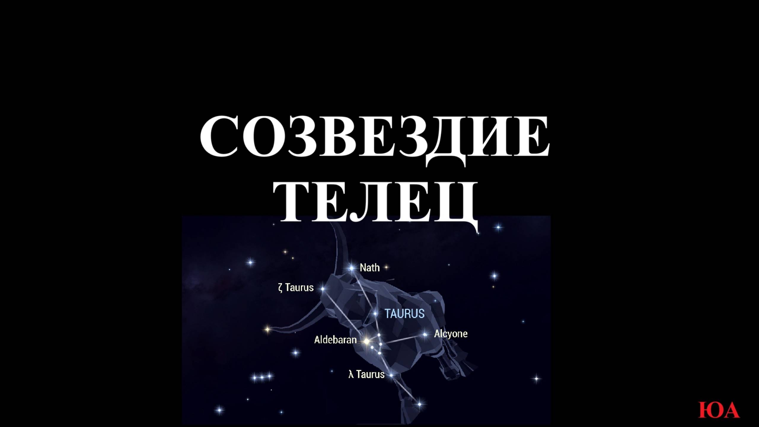 Созвездие «Телец"