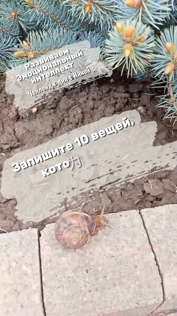 Челлендж дня. Задание 2