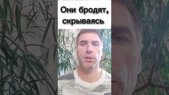 20250505 Они бродят по Индии, скрываясь под самыми разными обличьями. Рамакришна: Притчи и истории.