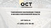 Растаможка грибов