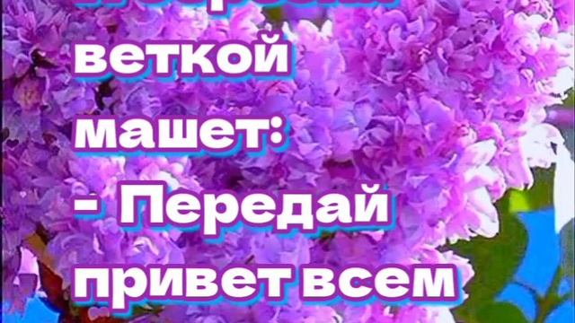 IMG_20250505_070629_477.mp4