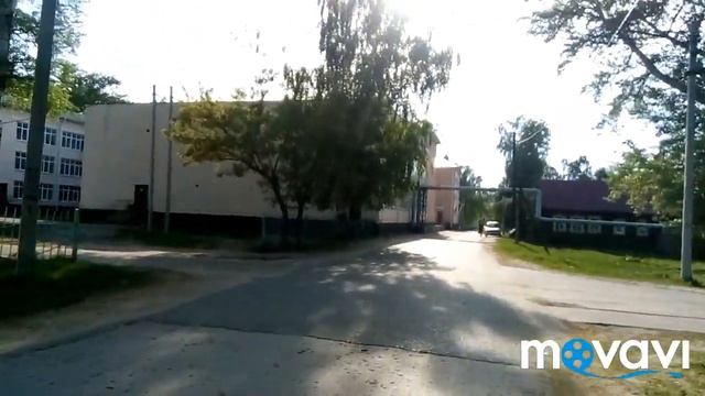 Выпила две Бомбочки элеутерококка  .И снова день сурка.Иду и иду куда то