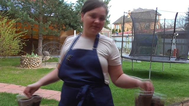 🧹🧺 Пересаживаю фукцию Красивый цветок Готовлю