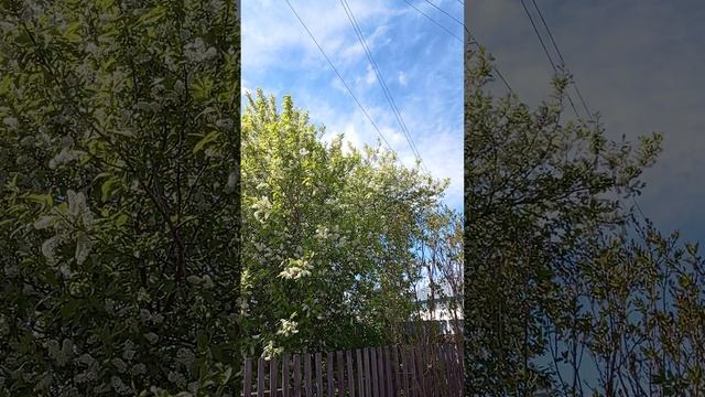 1000005118.mp4