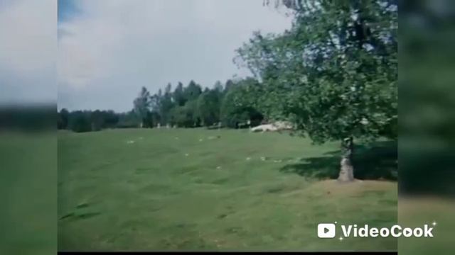 Не приведи меня, Господь