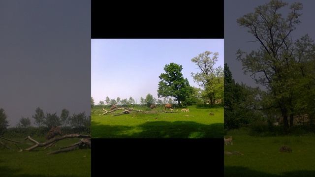 ЗООПАРК ГОРОД ЗЛИН ЧЕХИЯ