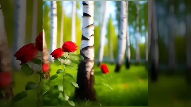 Героев будут помнить вечно