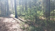 В лесу: Если тебе кажется, что ты следишь за компьютером, это не значит, что ты за ним следишь