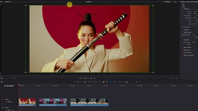 How to ZOOM in Davinci Resolve 19 Tutorial