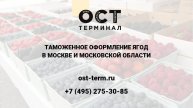 Растаможка ягод