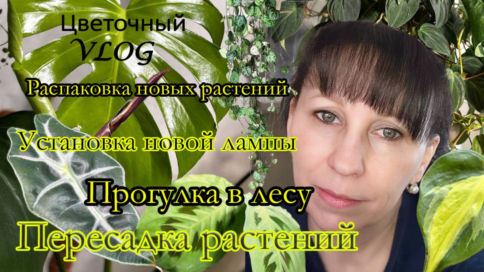 Дневник цветовода: новая фитолампа/новые растения/посадка хой и пересадка других растений