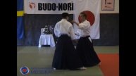 14 Aikido Yokomen Uchi Ikkyo, Shishiya Sensei 2003