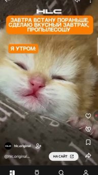 Это Ты Когда Проснулся