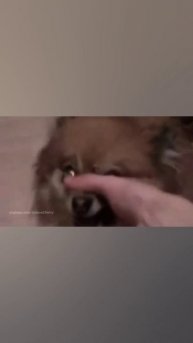 1000109215.mp4