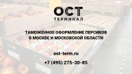 Растаможка персиков