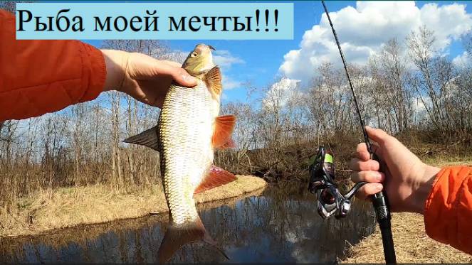 Весенний немормышинг.Поймал рыбу мечты!!!!!