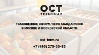 Растаможка мандаринов