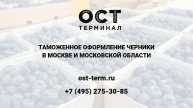 Растаможка черники