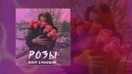 KARAT, МЛАДШИЙ - Розы (Официальная премьера трека)