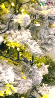 Влад и Ники с мамой покупают одежду к рождеству