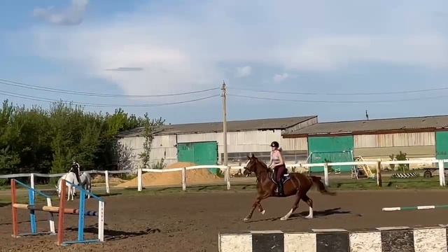 1000130855.mp4