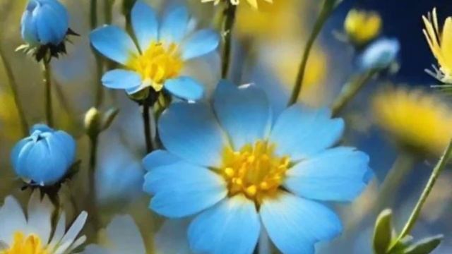 #настроение #музыка