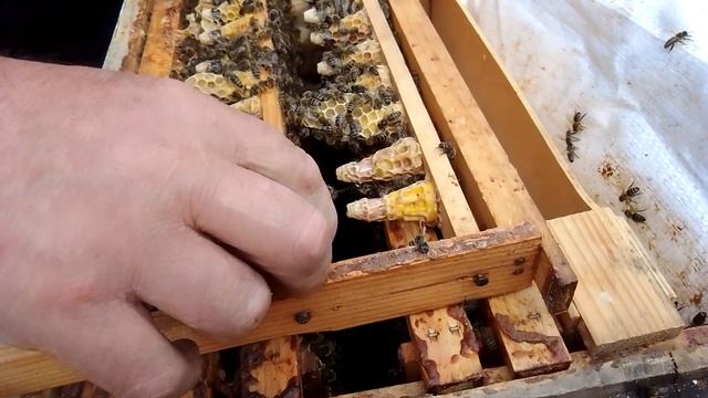 Матководство