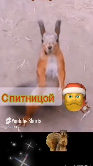 1000143958.mp4