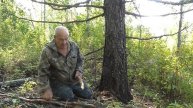 Эвенкийские дрова для костра и растопка к ним