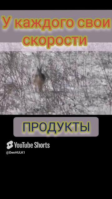 1000143954.mp4