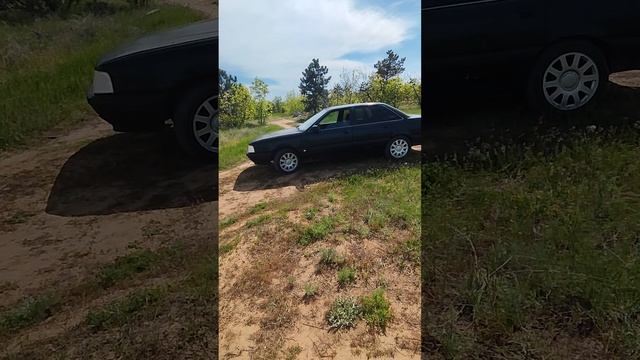 1000037495.mp4