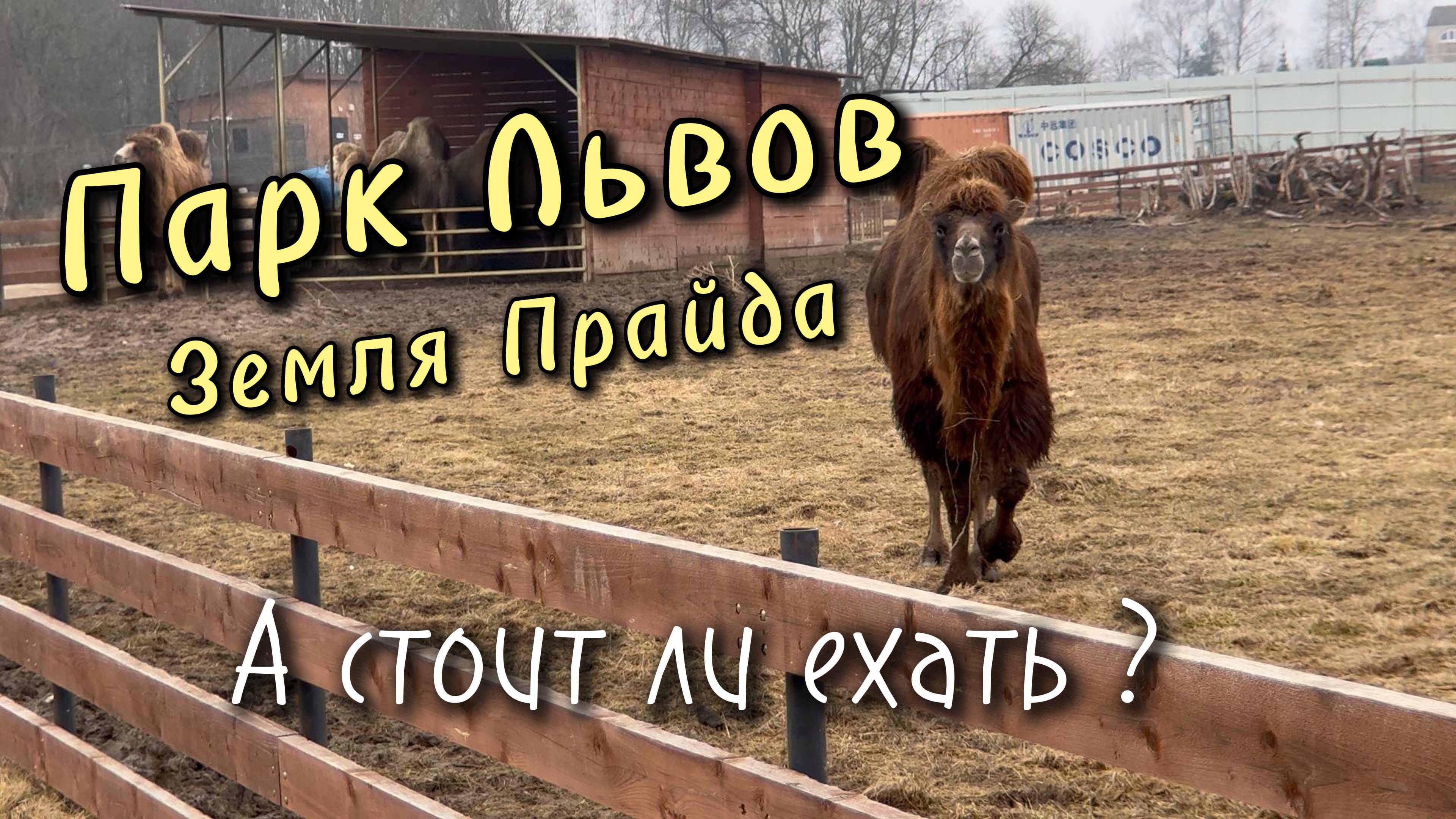 Парк львов «ЗЕМЛЯ ПРАЙДА» - Парк с большой буквы !
