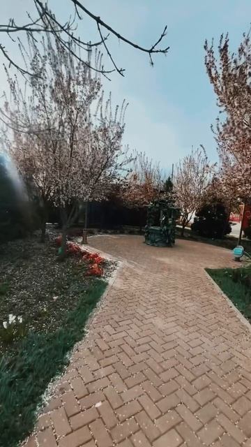 Очень люблю этого видео, хотя ему уже не один год 🙃