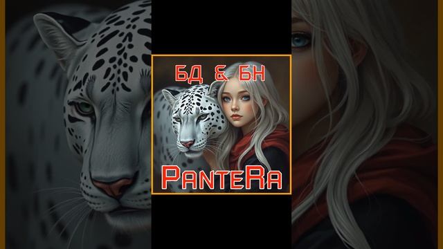PanteRa - БД & БН 2025