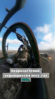 Российские самолеты ударили по засевшим в лесу солдатам ВСУ