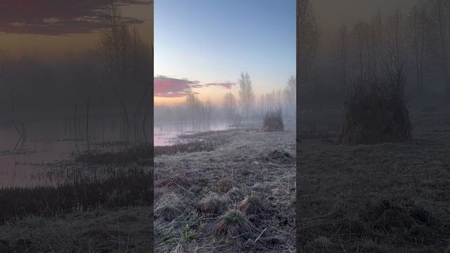 Долгожданный Бобер