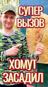 Кто просил хомут метнуть и воткнуть в дерево?